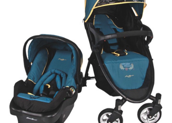 Buy Eddie Bauer Duo Head Support- Baby Car Seat / Stroller / Carrier Online  at Low Prices in India - Amazon.in