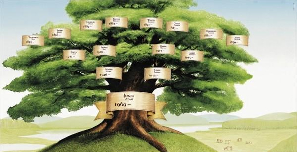 family-tree