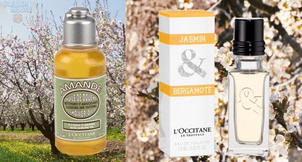 freebies-occitane