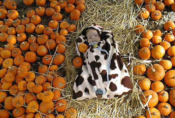 pumpkin-patch-baby