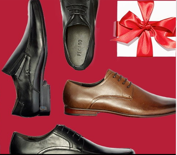 hudson's bay mens shoes