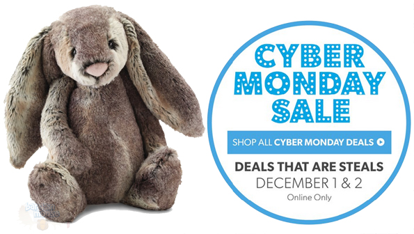 chapters-cyber-monday