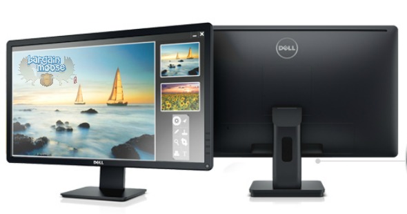 dell24