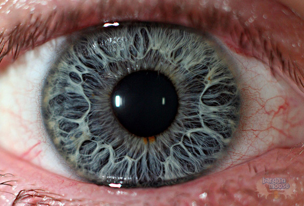 eye