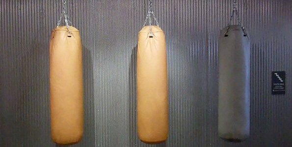 fitness-punchbag