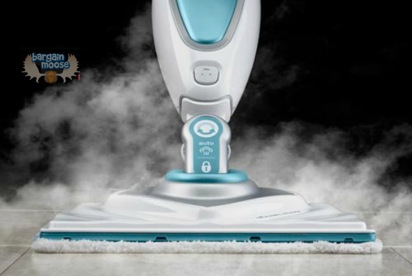 steammop