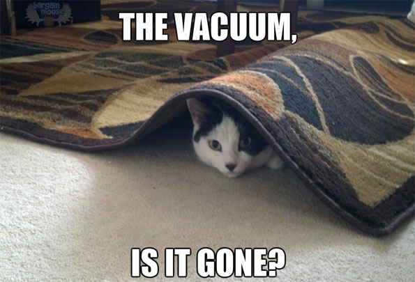 vacuum-meme