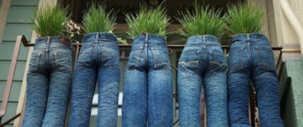 Denim jeans into planters final
