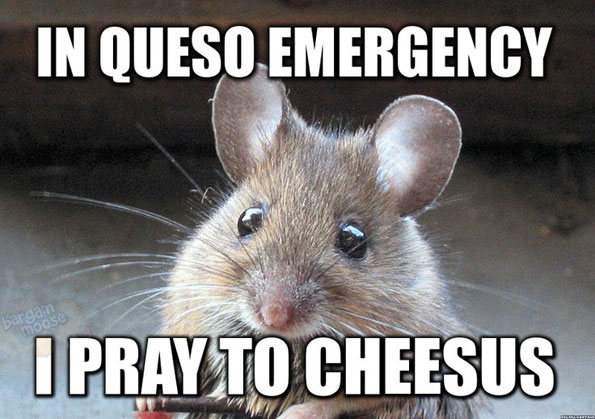 queso-emergency