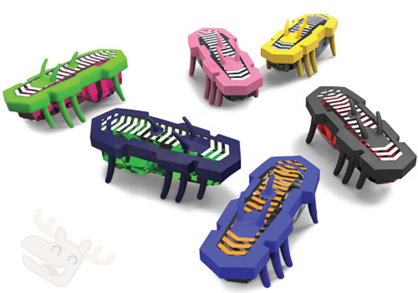 hexbugs