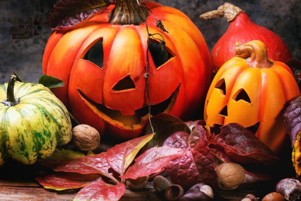 Halloween's pumpkins with autumn leaves on wooden table. See series.