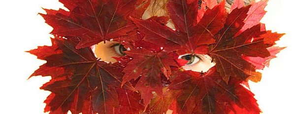 leaf-mask