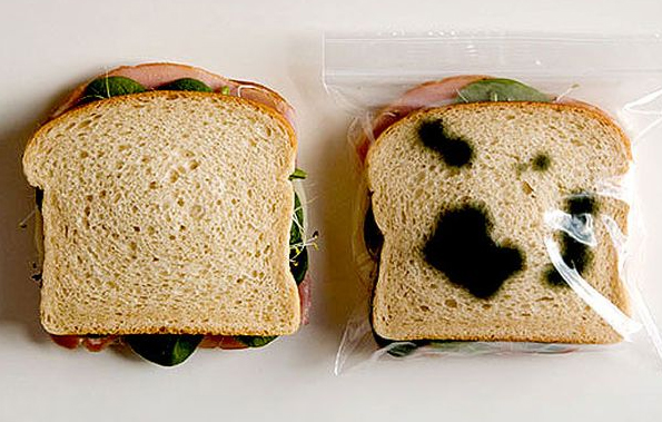 lunch-bags